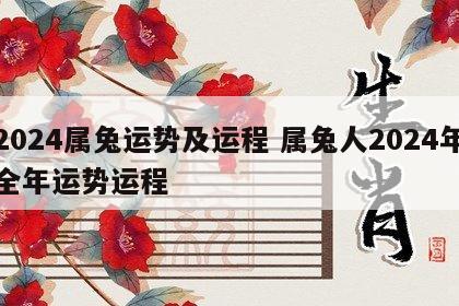 2024属兔运势及运程 属兔人2024年全年运势运程
