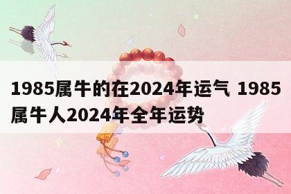 1985属牛的在2024年运气 1985属牛人2024年全年运势