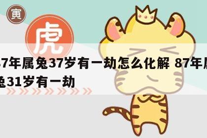 87年属兔37岁有一劫怎么化解 87年属兔31岁有一劫