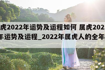 属虎2022年运势及运程如何 属虎2022年运势及运程_2022年属虎人的全年运势