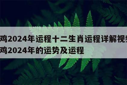 属鸡2024年运程十二生肖运程详解视频 属鸡2024年的运势及运程