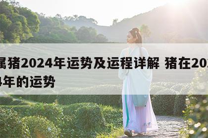 属猪2024年运势及运程详解 猪在2024年的运势