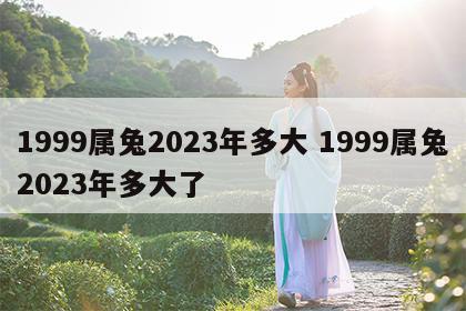 1999属兔2023年多大 1999属兔2023年多大了