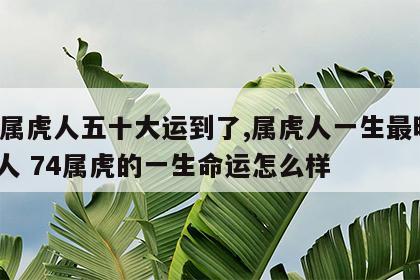 74属虎人五十大运到了,属虎人一生最旺3个人 74属虎的一生命运怎么样