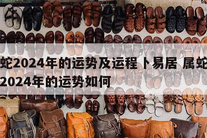 属蛇2024年的运势及运程卜易居 属蛇的在2024年的运势如何
