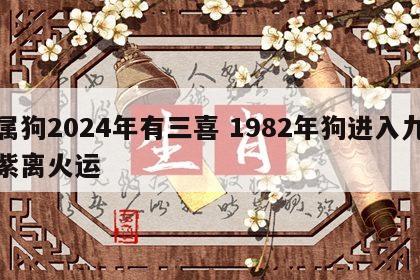 属狗2024年有三喜 1982年狗进入九紫离火运