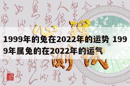 1999年的兔在2022年的运势 1999年属兔的在2022年的运气