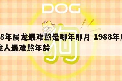 88年属龙最难熬是哪年那月 1988年属龙人最难熬年龄