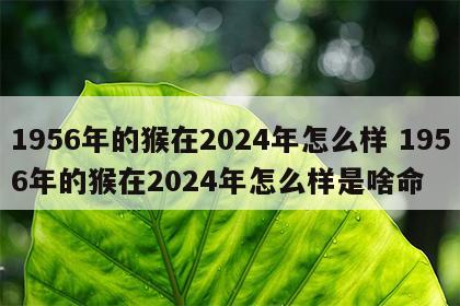 1956年的猴在2024年怎么样 1956年的猴在2024年怎么样是啥命