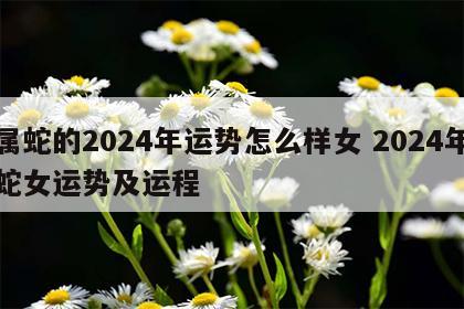属蛇的2024年运势怎么样女 2024年蛇女运势及运程