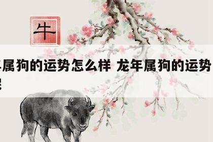 龙年属狗的运势怎么样 龙年属狗的运势怎么样呢