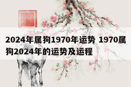 2024年属狗1970年运势 1970属狗2024年的运势及运程