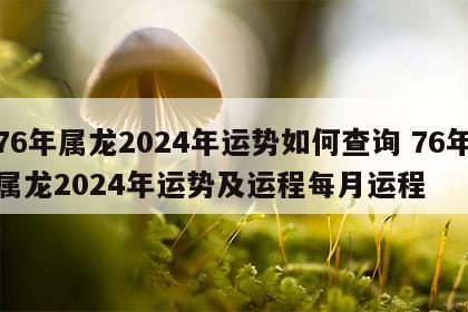 76年属龙2024年运势如何查询 76年属龙2024年运势及运程每月运程