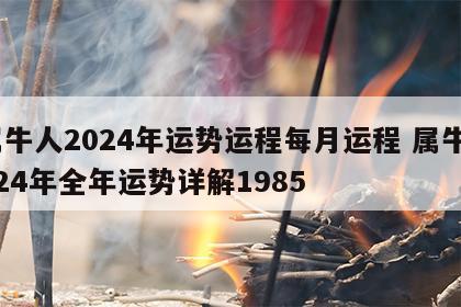 属牛人2024年运势运程每月运程 属牛2024年全年运势详解1985