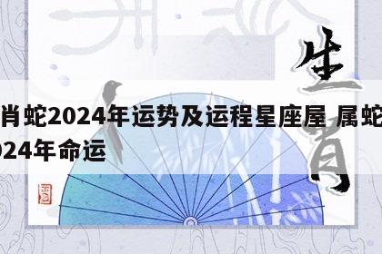 生肖蛇2024年运势及运程星座屋 属蛇人2024年命运