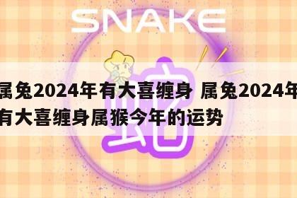 属兔2024年有大喜缠身 属兔2024年有大喜缠身属猴今年的运势