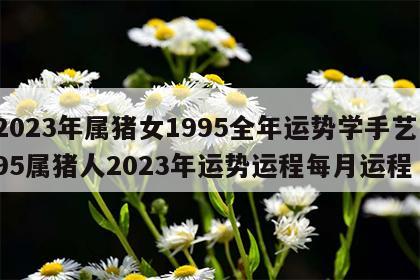 2023年属猪女1995全年运势学手艺 95属猪人2023年运势运程每月运程
