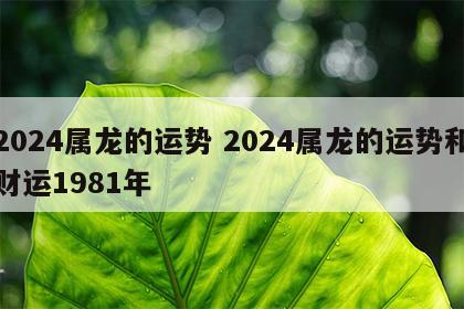 2024属龙的运势 2024属龙的运势和财运1981年
