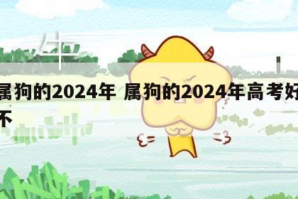 属狗的2024年 属狗的2024年高考好不