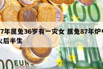87年属兔36岁有一灾女 属兔87年炉中火后半生
