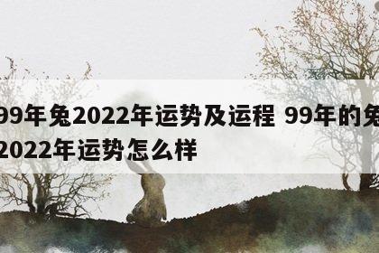 99年兔2022年运势及运程 99年的兔2022年运势怎么样