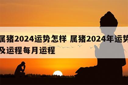 属猪2024运势怎样 属猪2024年运势及运程每月运程
