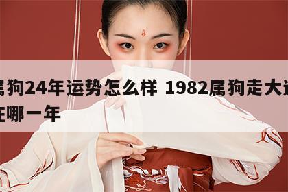 属狗24年运势怎么样 1982属狗走大运在哪一年