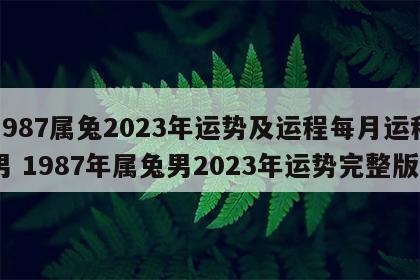 1987属兔2023年运势及运程每月运程男 1987年属兔男2023年运势完整版