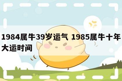 1984属牛39岁运气 1985属牛十年大运时间