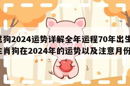 属狗2024运势详解全年运程70年出生 生肖狗在2024年的运势以及注意月份