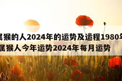 属猴的人2024年的运势及运程1980年 属猴人今年运势2024年每月运势