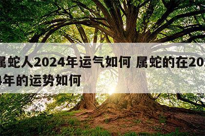 属蛇人2024年运气如何 属蛇的在2024年的运势如何