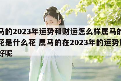 属马的2023年运势和财运怎么样属马的幸运花是什么花 属马的在2023年的运势好不好呢