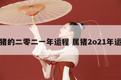 属猪的二零二一年运程 属猪2o21年运程