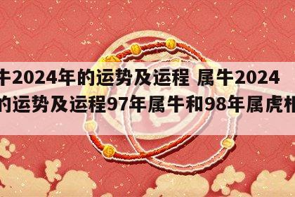 属牛2024年的运势及运程 属牛2024年的运势及运程97年属牛和98年属虎相配吗