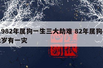 1982年属狗一生三大劫难 82年属狗42岁有一灾