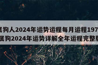 属狗人2024年运势运程每月运程1970 属狗2024年运势详解全年运程完整版