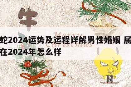 属蛇2024运势及运程详解男性婚姻 属蛇的在2024年怎么样