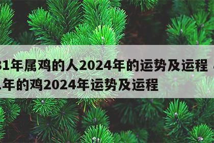 81年属鸡的人2024年的运势及运程 81年的鸡2024年运势及运程