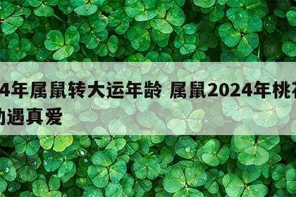 84年属鼠转大运年龄 属鼠2024年桃花劫遇真爱