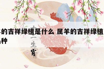 属羊的吉祥绿植是什么 属羊的吉祥绿植是什么品种