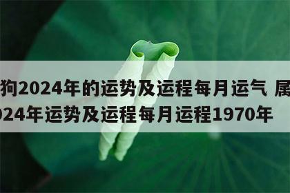 属狗2024年的运势及运程每月运气 属狗2024年运势及运程每月运程1970年