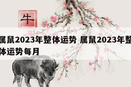 属鼠2023年整体运势 属鼠2023年整体运势每月