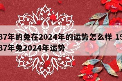 87年的兔在2024年的运势怎么样 1987年兔2024年运势