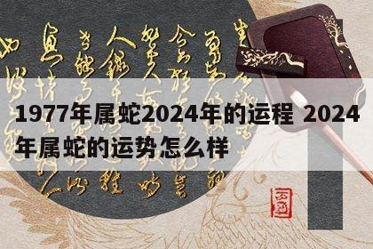 1977年属蛇2024年的运程 2024年属蛇的运势怎么样