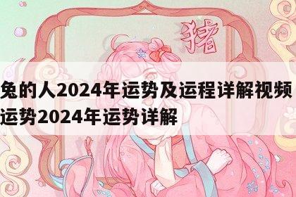 属兔的人2024年运势及运程详解视频 属兔运势2024年运势详解