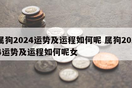 属狗2024运势及运程如何呢 属狗2024运势及运程如何呢女
