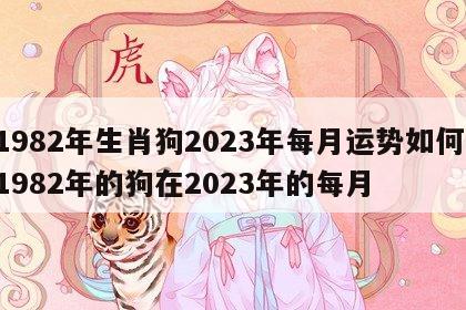 1982年生肖狗2023年每月运势如何 1982年的狗在2023年的每月