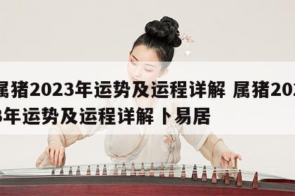 属猪2023年运势及运程详解 属猪2023年运势及运程详解卜易居