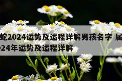 属蛇2024运势及运程详解男孩名字 属蛇2024年运势及运程详解